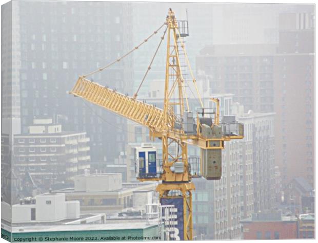 Crane in the mist Canvas Print by Stephanie Moore