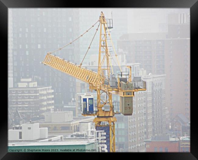 Crane in the mist Framed Print by Stephanie Moore