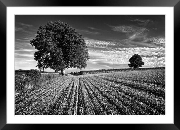 Somerset Countryside near Chard Framed Mounted Print by Darren Galpin