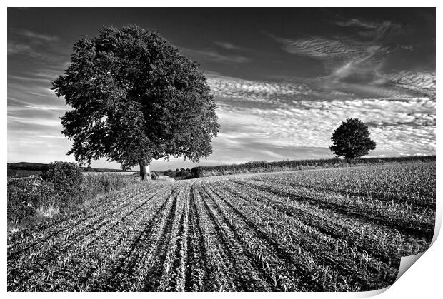 Somerset Countryside near Chard Print by Darren Galpin