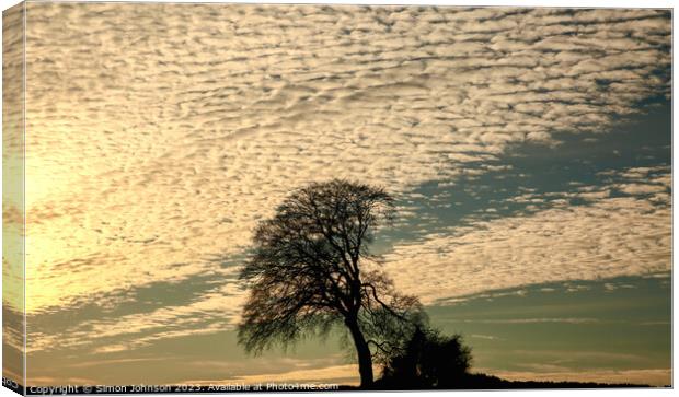 The leaning tree Canvas Print by Simon Johnson