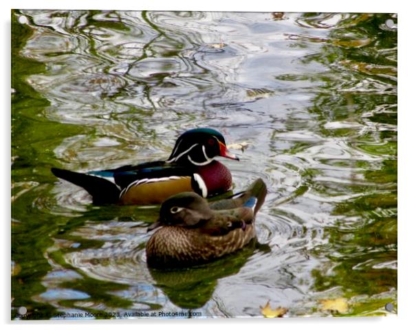 Ducks Acrylic by Stephanie Moore