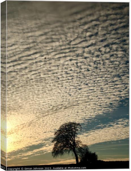The leaning tree silhouette  Canvas Print by Simon Johnson