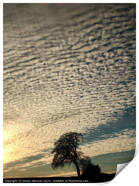 The leaning tree silhouette  Print by Simon Johnson