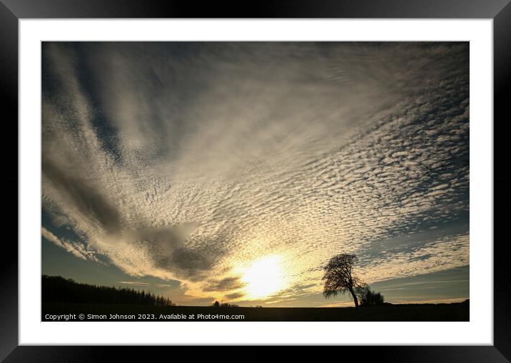 Leaning tree silhouette  Framed Mounted Print by Simon Johnson