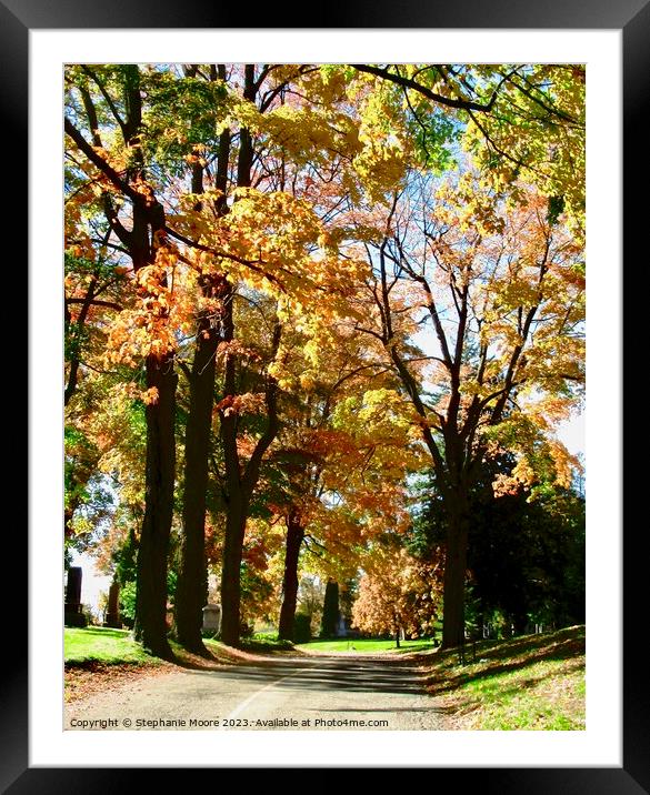 Autumn Trees Framed Mounted Print by Stephanie Moore
