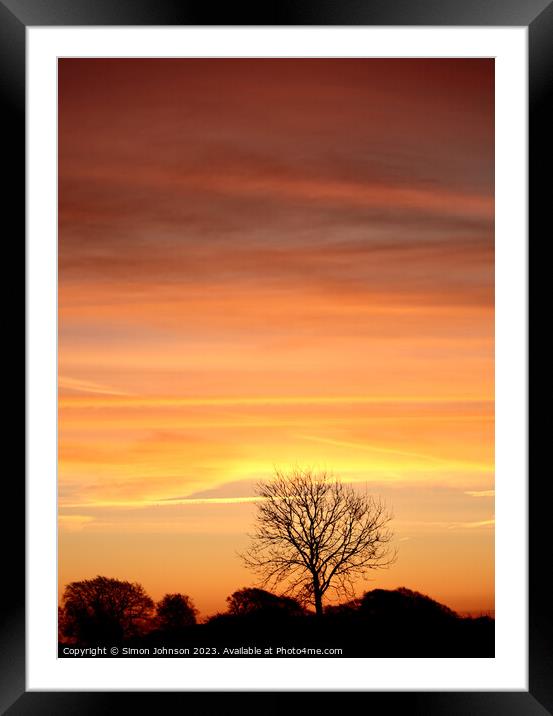 Tree Silhouette  Framed Mounted Print by Simon Johnson