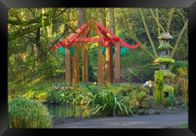 Peasholm Park Scarborough  Framed Print by Alison Chambers