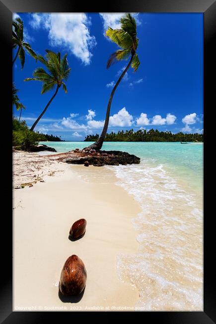 Coconuts washed up palm tree crystal sandy beach  Framed Print by Spotmatik 