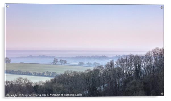 Winter Morning Mist over Watership Downs, England Acrylic by Stephen Young