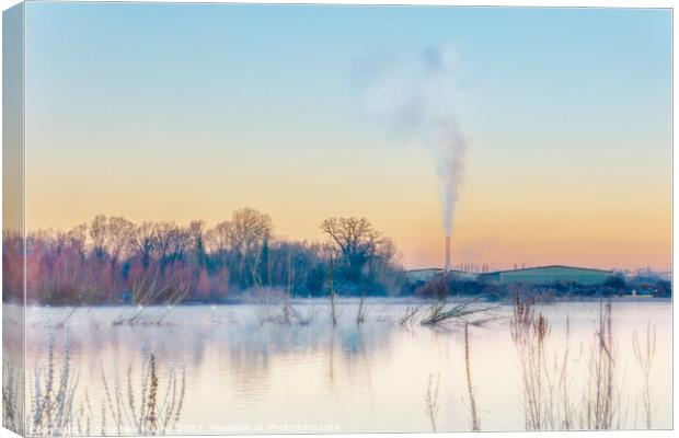 Industrial Wildlife Sunrise Canvas Print by Stephen Young