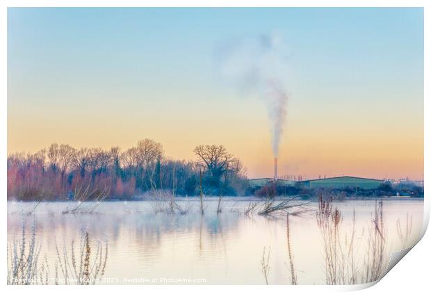 Industrial Wildlife Sunrise Print by Stephen Young