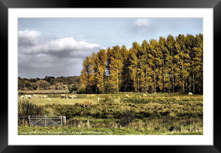 Autumn Suffolk Scene Framed Mounted Print by Darren Burroughs