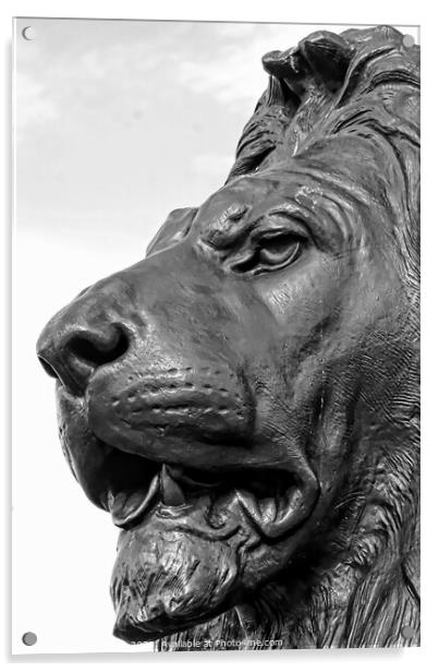 Close-Up Of Lion Sculpture, Trafalgar Square, Lond Acrylic by Luigi Petro