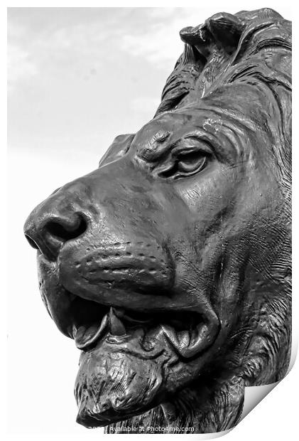 Close-Up Of Lion Sculpture, Trafalgar Square, Lond Print by Luigi Petro