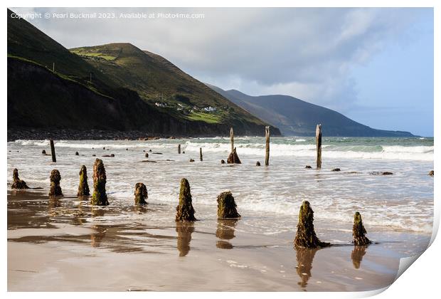 Ross Strand on Ring of Kerry Ireland Print by Pearl Bucknall