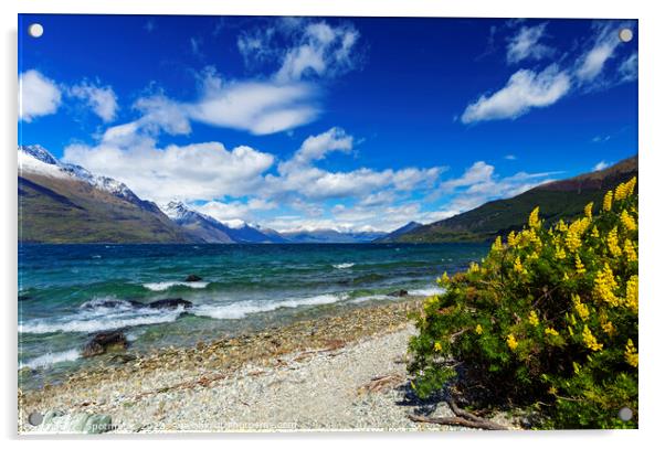 Lake Wakatipu Queenstown outdoor travel tourism adventure region Acrylic by Spotmatik 