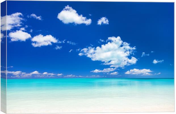 View of blue ocean and white sandy beach Canvas Print by Spotmatik 