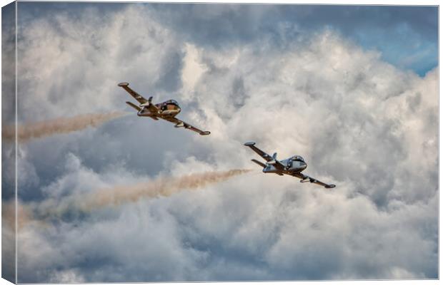 Pair of Strikemasters Canvas Print by Roger Green