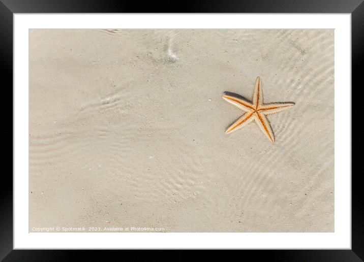 The starfish on white sandy tropical beach Caribbean Framed Mounted Print by Spotmatik 
