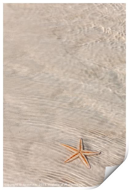 The starfish on white sandy tropical beach Bahamas Print by Spotmatik 