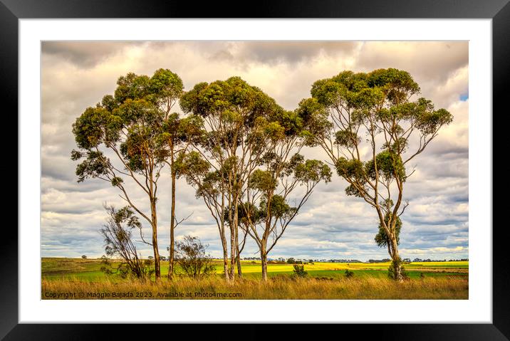 Australian Gum trees in the Outback Countryside. Framed Mounted Print by Maggie Bajada