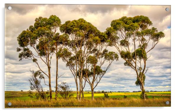 Australian Gum trees in the Outback Countryside. Acrylic by Maggie Bajada