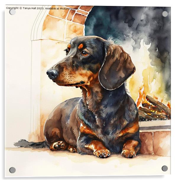 Dachshund Warming by the Fire Acrylic by Tanya Hall