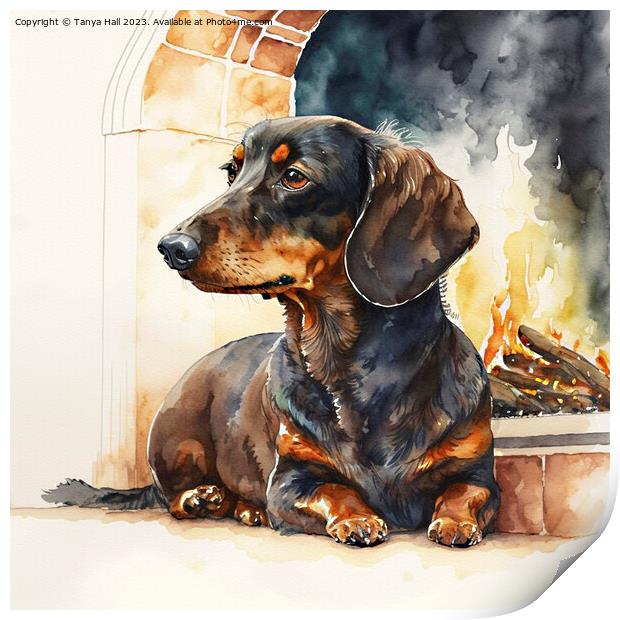 Dachshund Warming by the Fire Print by Tanya Hall