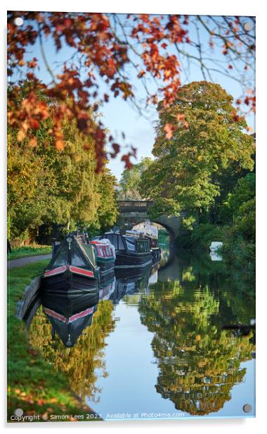 Bath Canal in Autumn Acrylic by Simon Lees