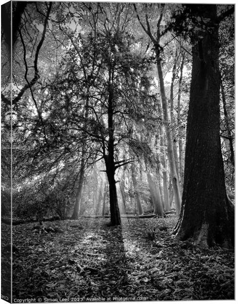 silhouette of tree Canvas Print by Simon Lees