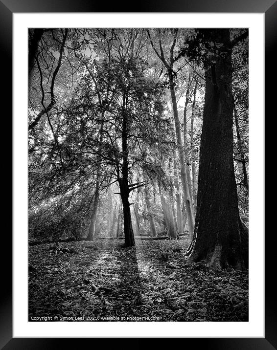 silhouette of tree Framed Mounted Print by Simon Lees
