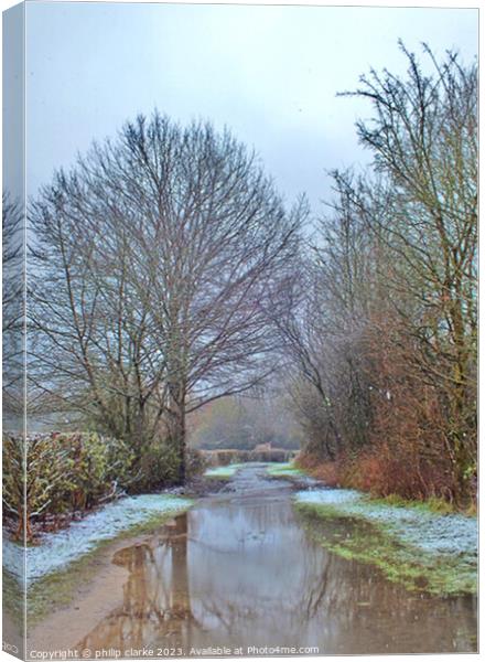 Tree Lined Waterway Canvas Print by philip clarke