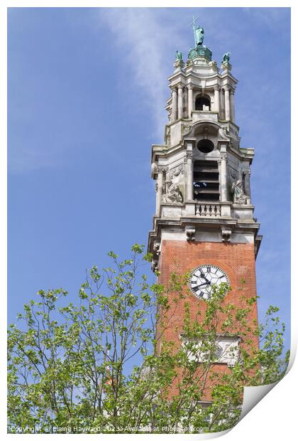Victorian clock tower of the Town Hall, Colchester Print by Elaine Hayward