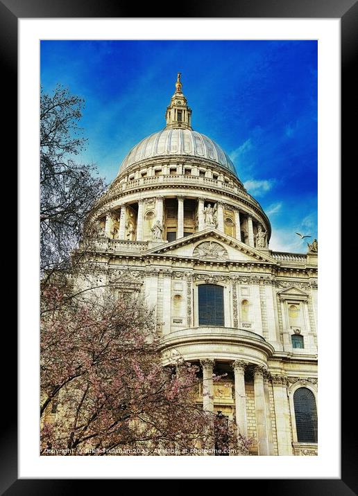 St. Paul's Cathedral in springtime Framed Mounted Print by Jules D Truman