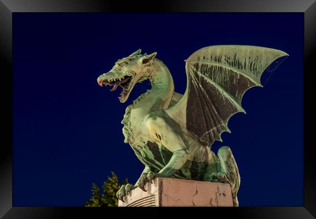 Dragon Statue At Night In Ljubljana Framed Print by Artur Bogacki