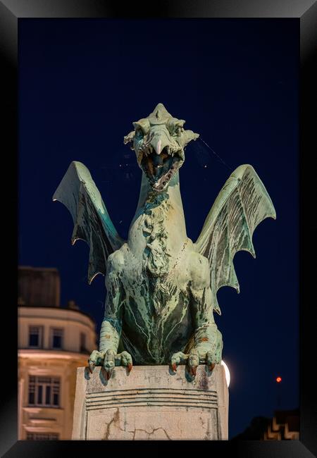 Dragon At Night In Ljubljana Framed Print by Artur Bogacki