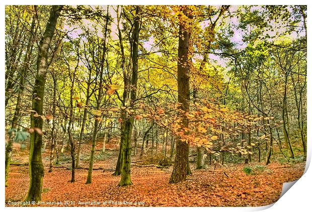 Autumn Colours Print by Jim kernan