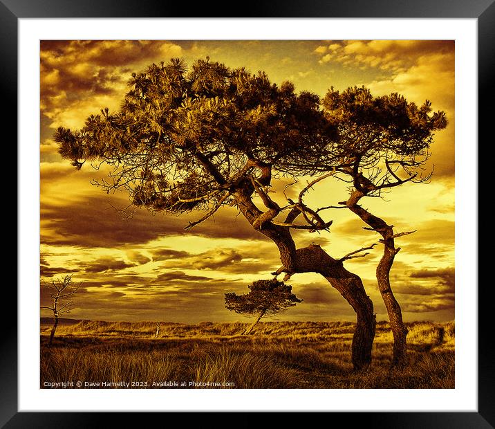 Reach-(Sepia-Gold) Framed Mounted Print by Dave Harnetty