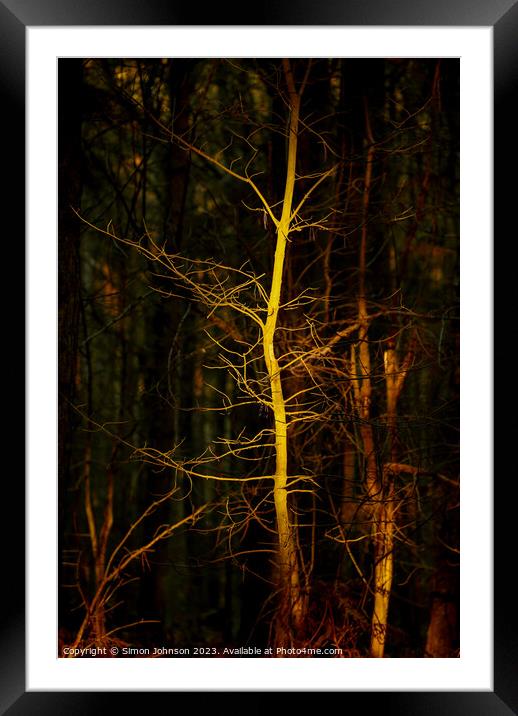 Ghost Tree Framed Mounted Print by Simon Johnson