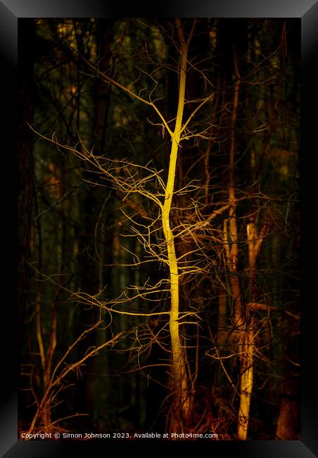Ghost Tree Framed Print by Simon Johnson