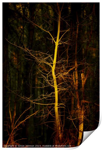 Ghost Tree Print by Simon Johnson
