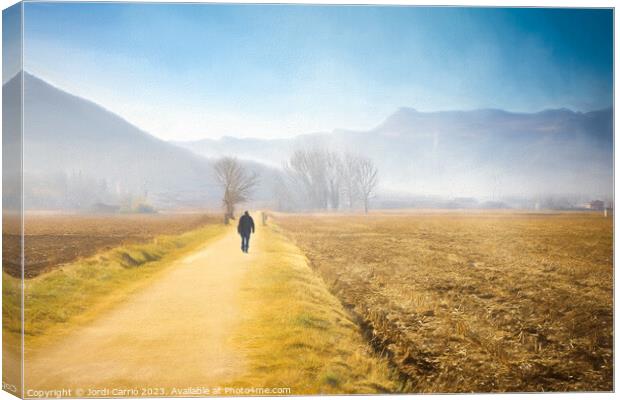 Enchanting Valley Fog Canvas Print by Jordi Carrio