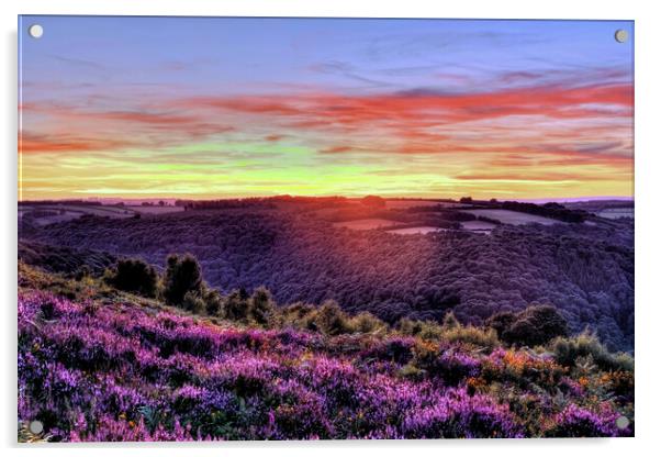 Haddon Hill Sunset Exmoor Somerset Acrylic by austin APPLEBY