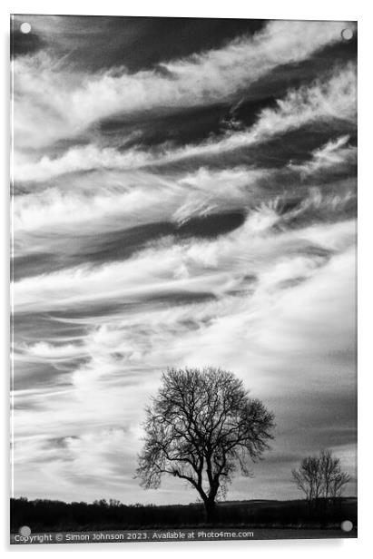 Tree silhouette against a dramatic cloudscape  Acrylic by Simon Johnson
