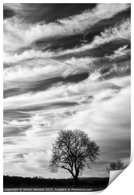 Tree silhouette against a dramatic cloudscape  Print by Simon Johnson