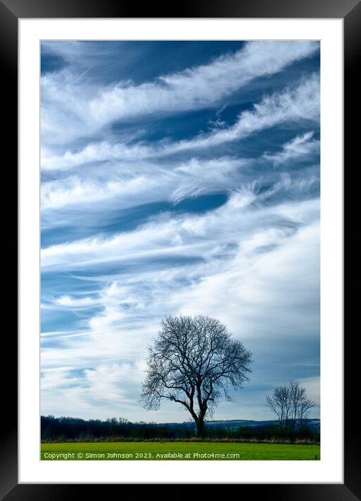 Tree silhouette  Framed Mounted Print by Simon Johnson