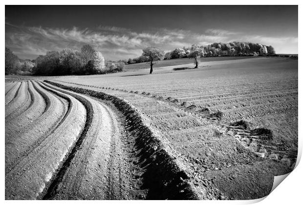 Ploughed Field, High Melton, South Yorkshire Print by Darren Galpin