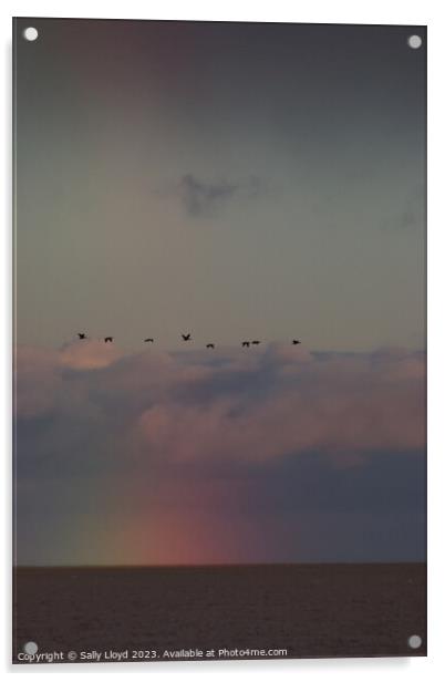 Geese fly over a rainbow at sea Acrylic by Sally Lloyd