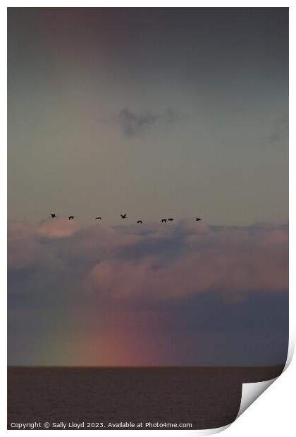 Geese fly over a rainbow at sea Print by Sally Lloyd